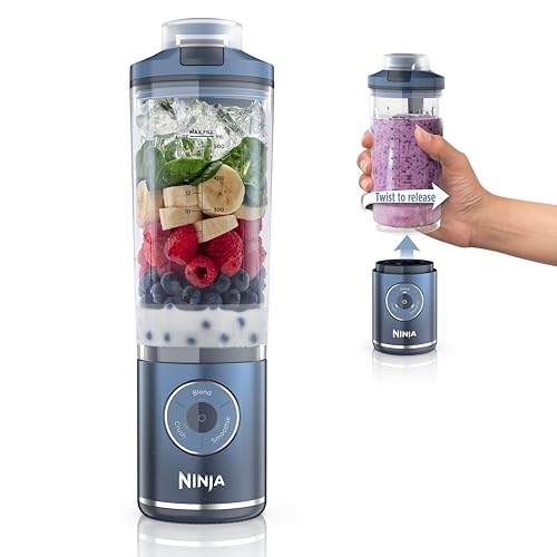 Choosing the Right Portable Blender for Your Needs